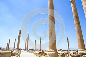 Ancient ruins of Persepolis and Necropolis historical site, Shiraz, Iran