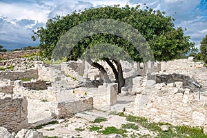 Ancient ruins of Roman house with a lush tree under cloudy sky. Limassol District. Kourion archaeological site