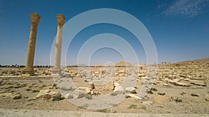 Ancient Ruins with Standing Columns