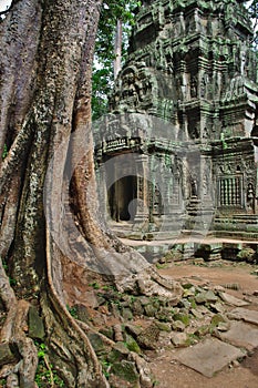 Ancient ruins of Ta Phrom temple at Anchor Wat area