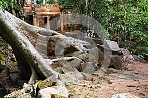 Ancient ruins of Ta Prohm