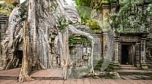 Ancient ruins of Ta Prohm