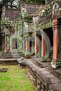 Ancient ruins in Ta Prohm or Rajavihara Temple at Angkor, Siem R