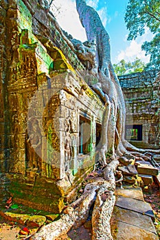 Ancient ruins of Ta Prohm temple