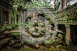 Ancient ruins of Ta Prohm temple, Angkor, Cambodia