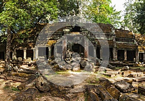 Ancient ruins of Ta Prohm temple, Angkor, Cambodia