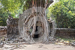 Ancient ruins of Ta Som temple in Angkor Wat complex, Cambodia. Stone temple ruin with jungle tree aerial roots