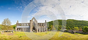 Ancient Ruins, Tintern Abbey, Wales, UK photo