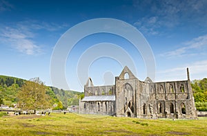 Ancient Ruins, Tintern Abbey, Wales, UK photo