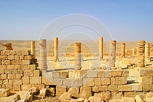 Ancient ruins of town of Avdat in Israel.