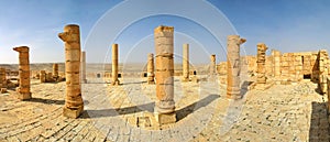 Ancient ruins of town of Avdat in Israel.