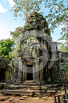 Ancient ruins and tree roots, Ta Prohm Temple, Angkor, Cambodia