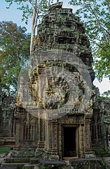 Ancient ruins and tree roots, Ta Prohm Temple, Angkor, Cambodia