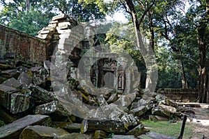 Ancient ruins and tree roots, Ta Prohm Temple, Angkor, Cambodia