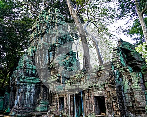 Ancient ruins and tree roots, Ta Prohm Temple, Angkor, Cambodia