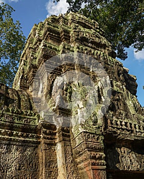 Ancient ruins and tree roots, Ta Prohm Temple, Angkor, Cambodia