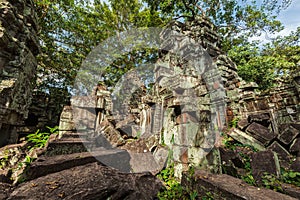 Ancient ruins and tree roots, Ta Prohm temple, Angkor, Cambodia