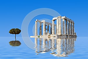 Ancient ruins and tree in water