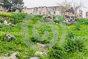 Ancient ruins of Umm Qais