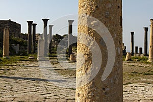 pillars in umm qais, jordan photo