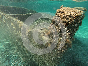 Ancient ruins underwater in the Sardinia sea