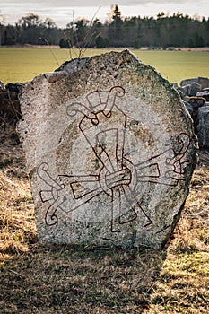 Ancient rune stone in Rytterne Lundby