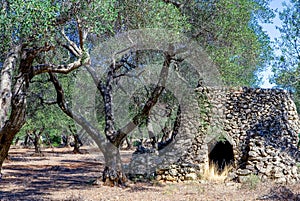 The ancient rural huts of the Puglia teriitoy