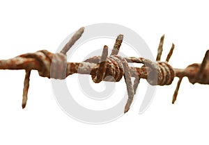 Ancient rusty barbed wire