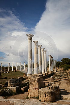Ancient Salamis, Cyprus