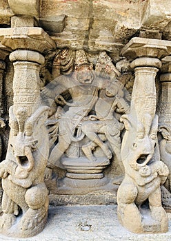 Ancient sandstone animals sculpture at kailasanathar temple in Kancheepuram, Tamil Nadu