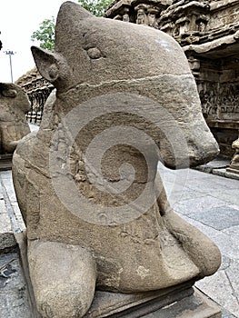 Ancient sandstone Nandhi sculpture at kailasanathar temple in Kancheepuram, Tamil Nadu