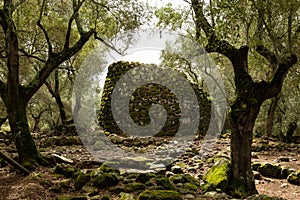 The ancient Santa Cristina nuraghe