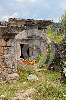 Ancient sarcophagi