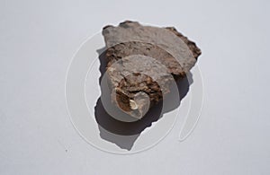 Ancient scraper made of flint from prehistorical time on white background