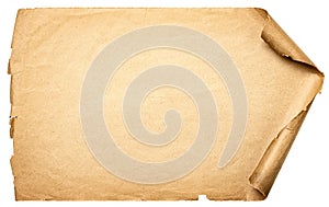 Ancient scroll isolated on white background. Texture of paper manuscript with shabby edges