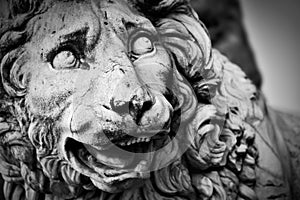 Ancient sculpture of The Medici Lion. Florence, Italy