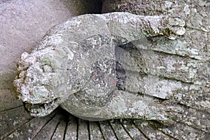 Ancient sculpture, Strange Animal, at the famous Parco dei Mostri, also called Sacro Bosco or Giardini di Bomarzo