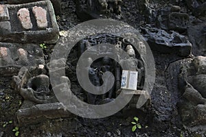 Ancient Sculptures and Idols in the Forest of Central India Dewas District