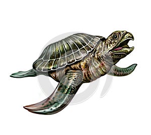 Ancient sea turtle Archelon ischyros