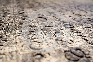 Ancient Sinhalese Scripts