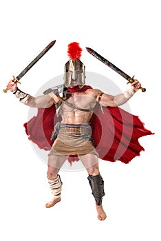 Ancient soldier or Gladiator