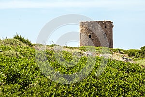 Ancient spanish tower on coastal upland, blue sky and green aro