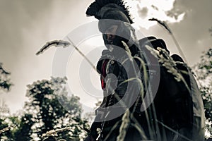 Ancient Spartan warrior in battle dress stands on meadow with shield