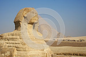 Ancient sphinx and pyramid in Egypt