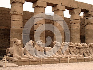 Ancient statues in a Egypt