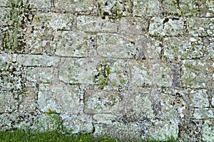 Ancient stone brick wall texture with lichen and grass photo