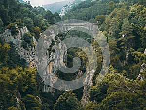 Ancient stone bridge spanning a lush forested gorge photo