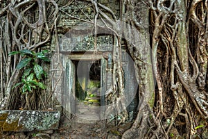 Ancient stone door and tree roots, Ta Prohm temple, Angkor