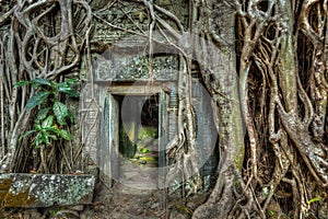 Ancient stone door and tree roots, Ta Prohm temple, Angkor, Camb photo