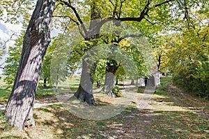 Road to Calvary in Banska Stiavnica, Slovakia.